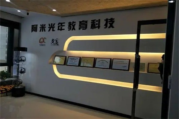 阿米光年全脑开发